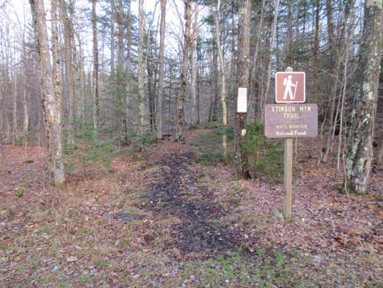 The Stinson Mountain Trail trailhead on Doetown Road