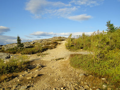 Looking back toward Mt. Major while on the Major/Straightback Link trail to Straightback Mountain