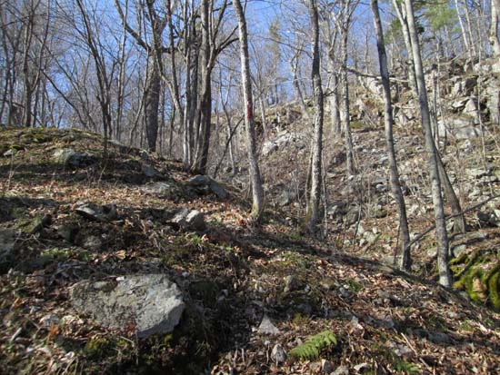 Looking up the Precipice Path