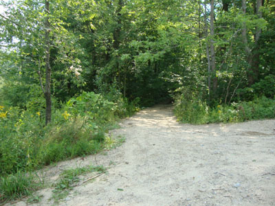 The beginning of the woods road adjacent to the marsh near the end of Jesus Valley Road