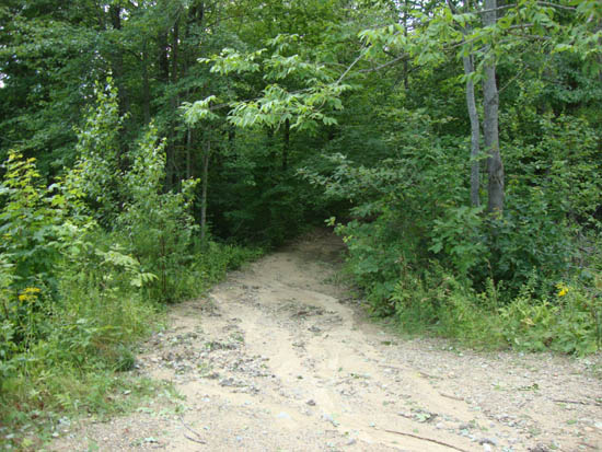 The beginning of the woods road adjacent to the marsh near the end of Jesus Valley Road