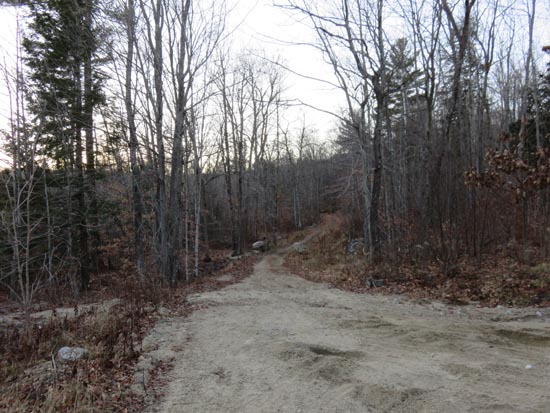 The beginning of the woods road adjacent to the marsh near the end of Jesus Valley Road