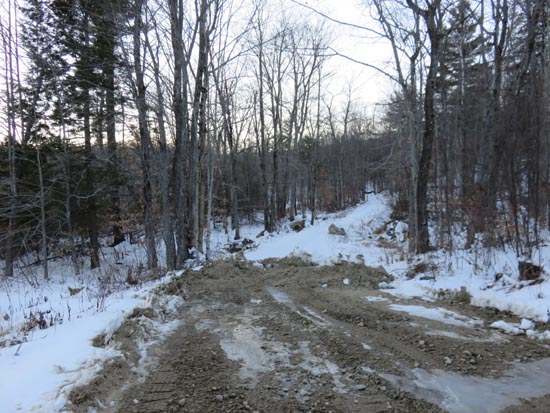 The beginning of the woods road adjacent to the marsh near the end of Jesus Valley Road
