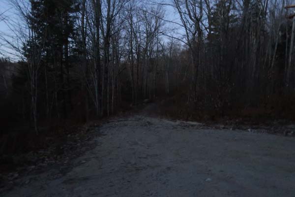 The beginning of the woods road adjacent to the marsh near the end of Jesus Valley Road