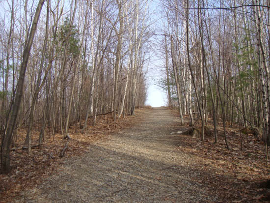Looking up the Lincoln Trail