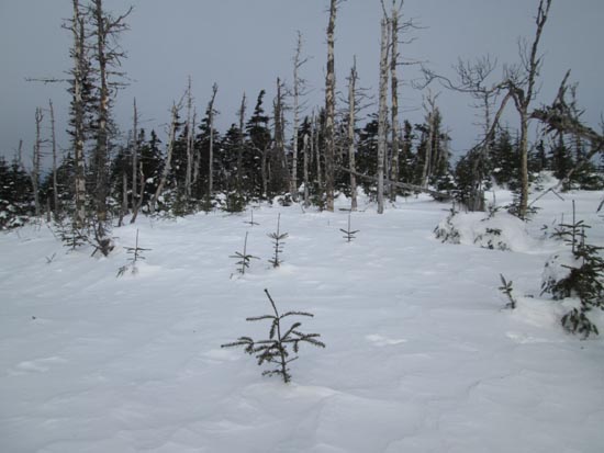 Deep drifts on North Stub Hill
