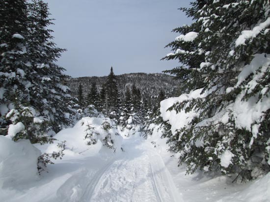 Looking down the snowmobile trail to Stub Hill Pond with North Stub Hill in the background