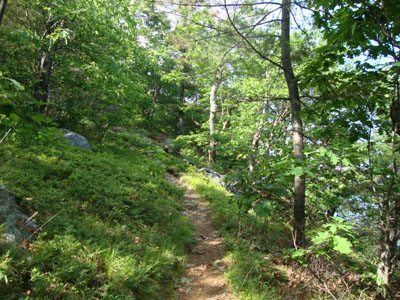Looking up the Elwell Trail on the way Sugarloaf
