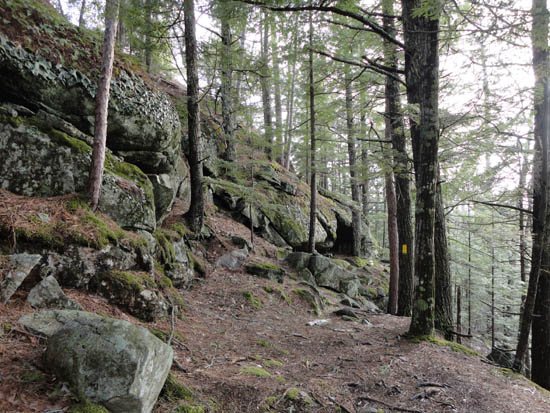 Looking up the Elwell Trail on the way Sugarloaf