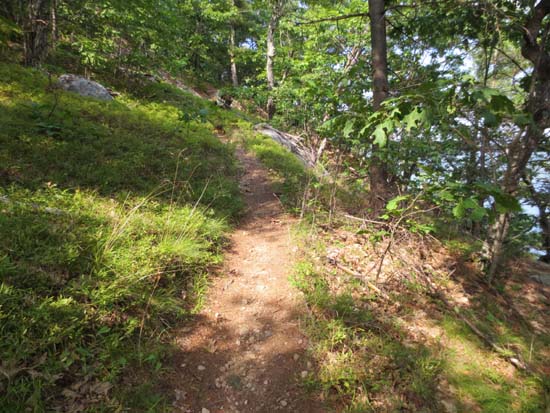 Looking up the Elwell Trail on the way Sugarloaf