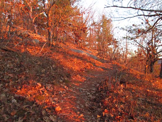 Looking up the Elwell Trail on Sugarloaf