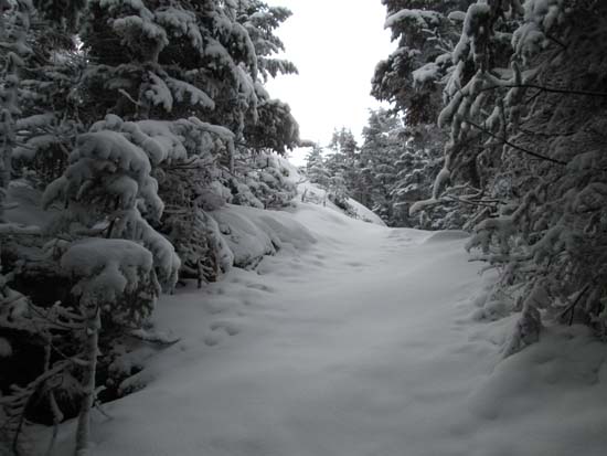 The Sugarloaf Mountain Trail