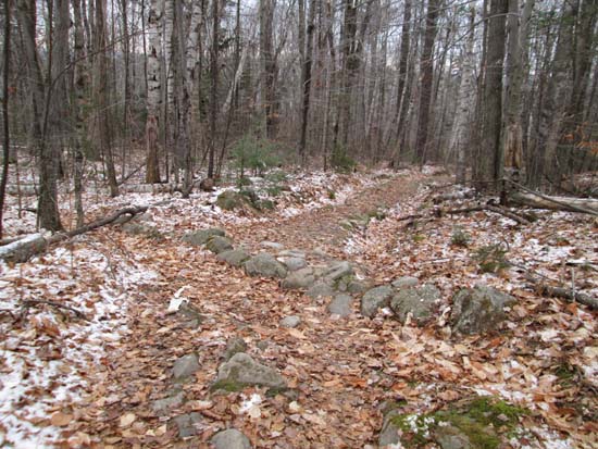 The Summit Trail