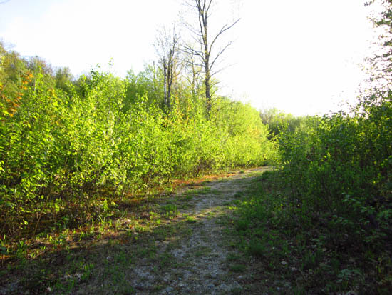 The Sunset Hill Trail