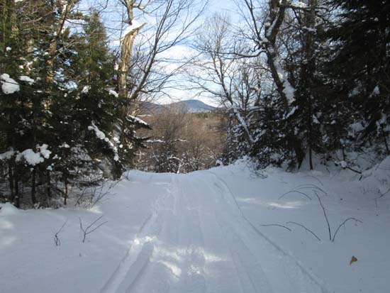 The trail between Balsams Wilderness ski area and Table Rock