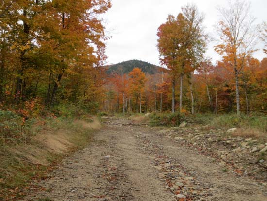 The logging road on the northeast slope of Teapot Mountain