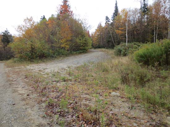 The start of the logging road heading up the northeast slope of Teapot Mountain