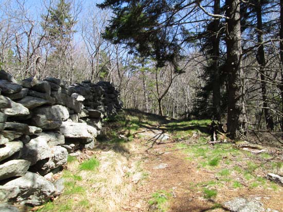 The Wapack Trail between Burton and Holt peaks