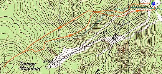 Topographic map of Tenney Mountain