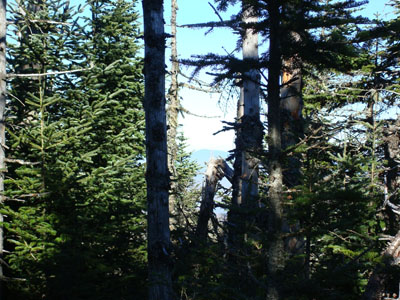 Looking at the lack-of-view from the Bulge summit - Click to enlarge