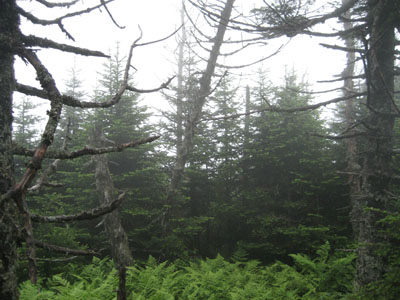 The lack of views from the Bulge - Click to enlarge