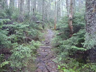 The Kilkenny Ridge Trail on the way to the Bulge