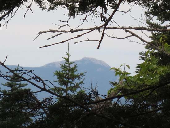 Slight views of Mt. Chocorua from near the summit of The Fool Killer - Click to enlarge