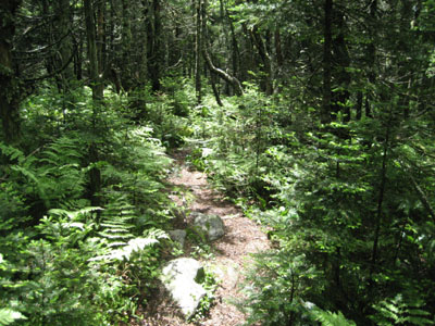 The spur trail to the Horn