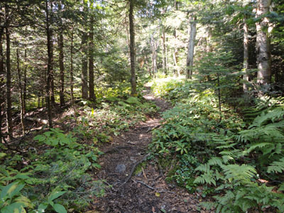The Kilkenny Ridge Trail on the way to the Horn