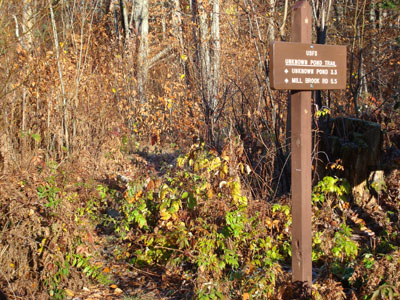 The Unknown Pond Trail trailhead near York Pond Road