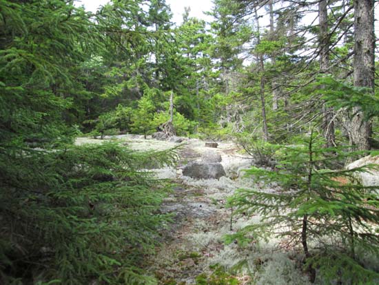 Possible old trail between the Twins