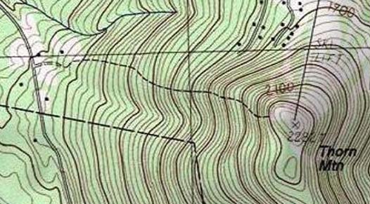 Topographic map of Thorn Mountain