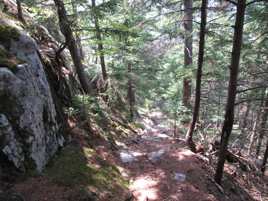 The Thorn Mountain Trail