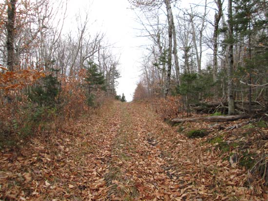 The Tinkham Hill access road