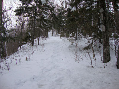 Looking up the blue trail on the way to Tin Mountain