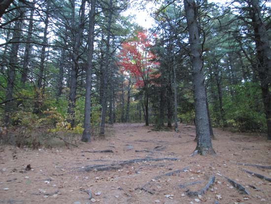 The road to the summit