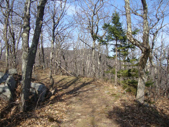 The Turtleback Mountain Summit Trail
