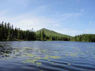 Looking at the Horn from Unknown Pond