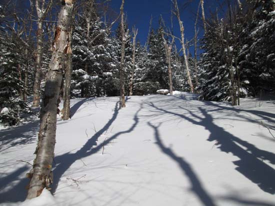 Looking up the Unknown Pond Trail
