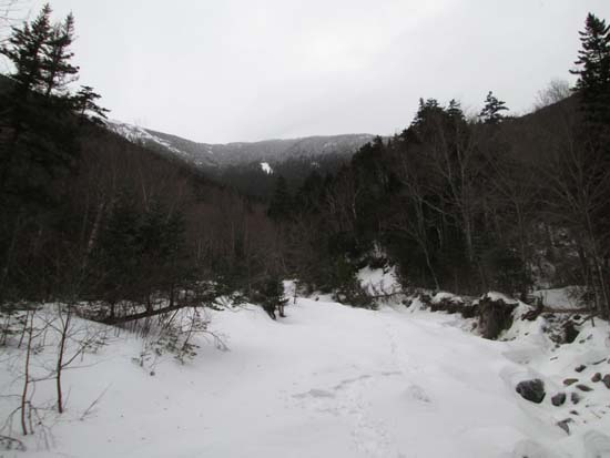 Descending the brook below Signal Ridge
