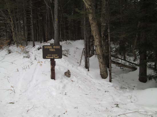 Signal Ridge Trail trailhead on Sawyer River Road