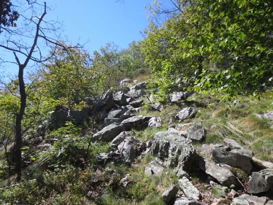 Looking up the Wantastiquet Mountain Trail