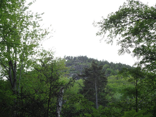 Webster Slide Mountain as seen from the Wachipauka Pond Trail