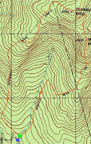 Topographic map of Welch Mountain, Dickey Mountain