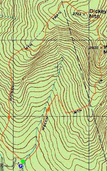 Topographic map of Welch Mountain, Dickey Mountain