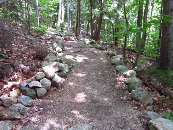 Heading up the Welch-Dickey Loop Trail to Welch Mountain