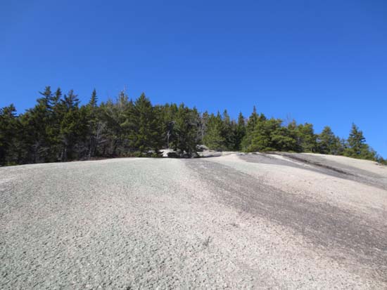 Heading up the Welch-Dickey Loop Trail to Welch Mountain