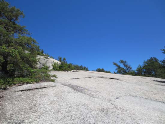 Heading up the Welch-Dickey Loop Trail to Welch Mountain