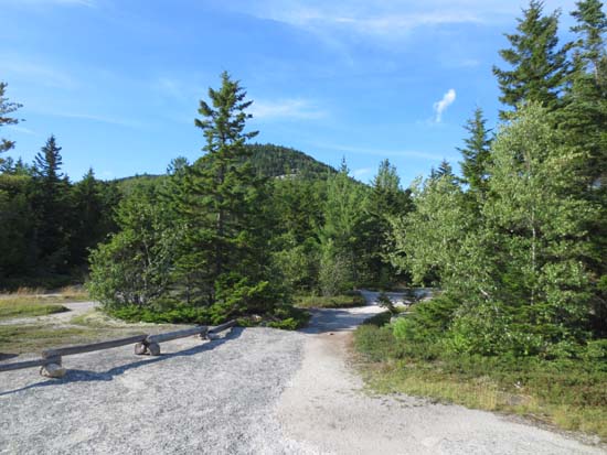 Heading up the Welch-Dickey Loop Trail to Welch Mountain
