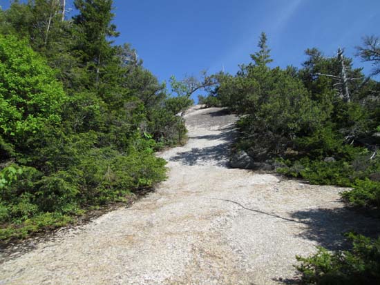 Heading up the Welch-Dickey Loop Trail to Welch Mountain